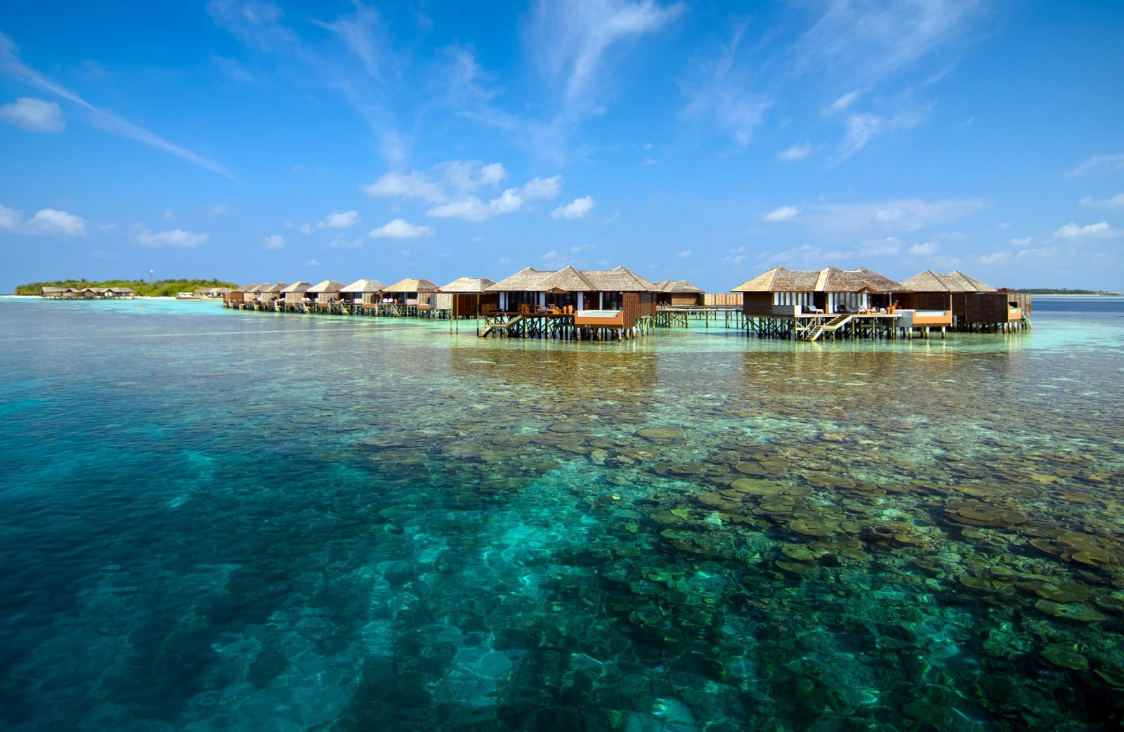 Www island. Lily Beach Resort Spa 5. Мальдивы панорама. Шератон Мальдивы фото.